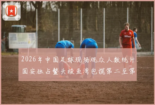 2026年中国足球现场观众人数统计国安独占鳌头梭鱼湾包揽第二至第七位